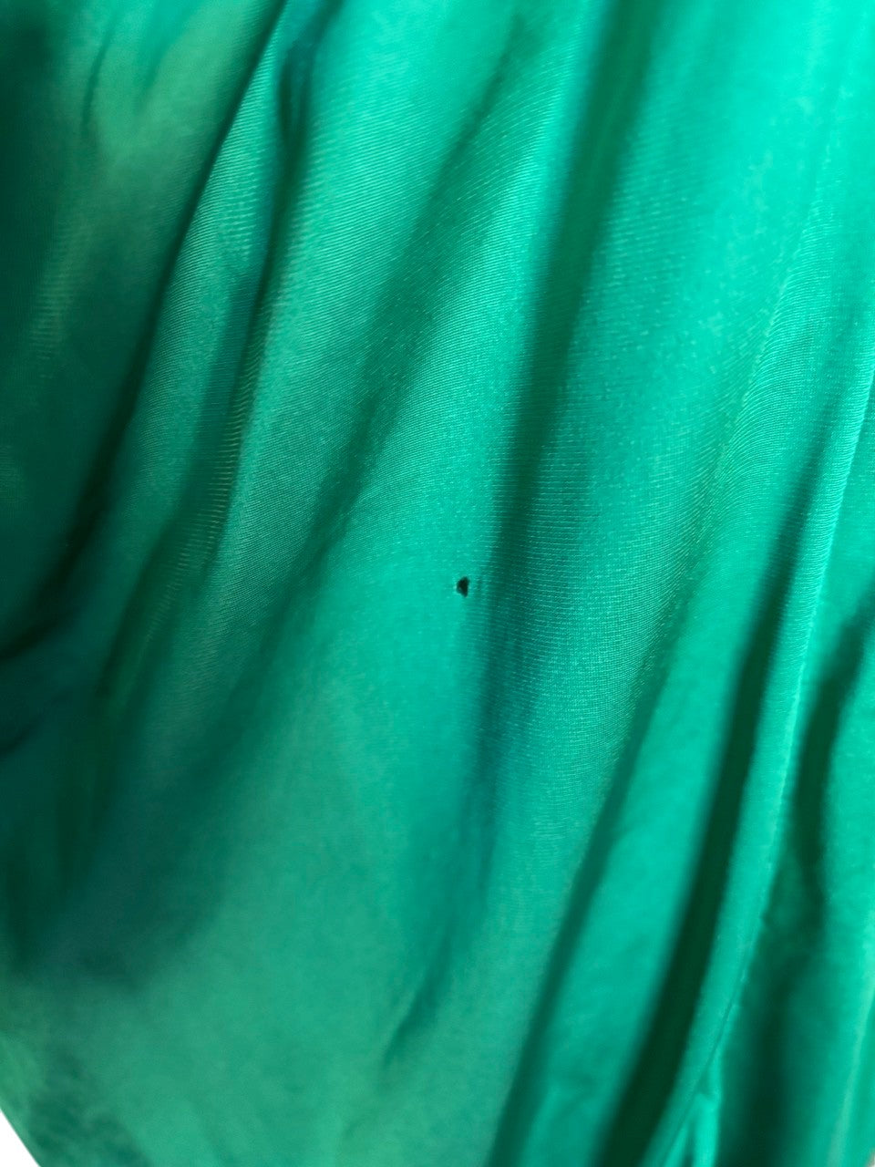 The Diana Ross Green Black Slip Dress