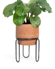 Jaro Medium Terracotta Planter